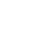 tick